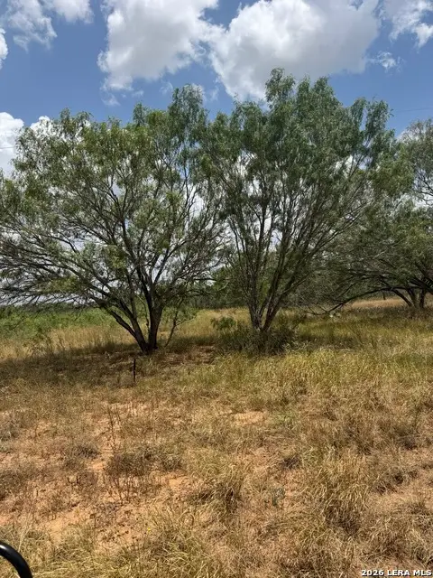 6193 County Road 117, Floresville, TX 78114 - #1