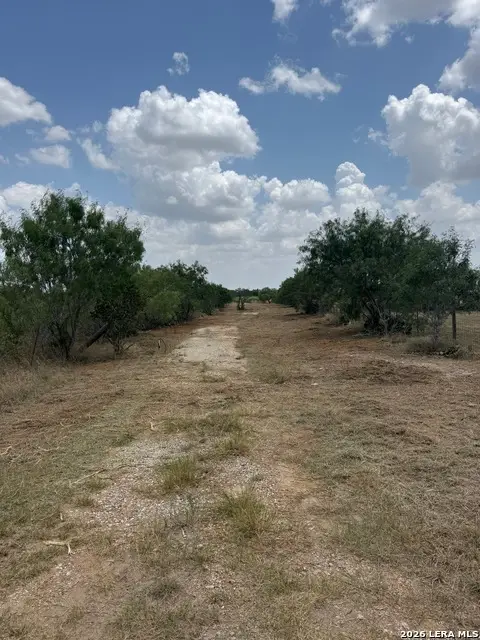 6193 County Road 117, Floresville, TX 78114 - #3