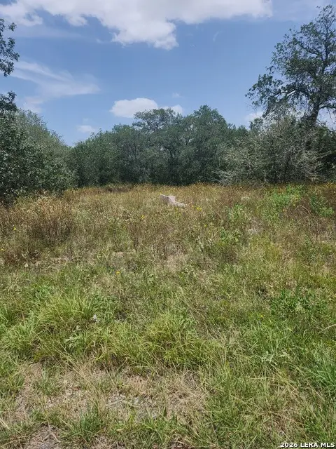 24114 Tumbleweed Ln, San Antonio, TX 78264 - #2