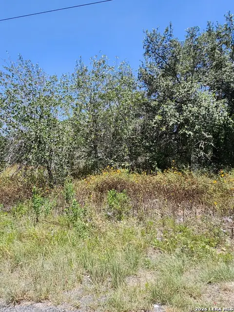 24114 Tumbleweed Ln, San Antonio, TX 78264 - #3