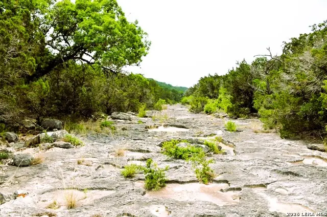 LOT 51 Pr 2537, Mico, TX 78056 - #3