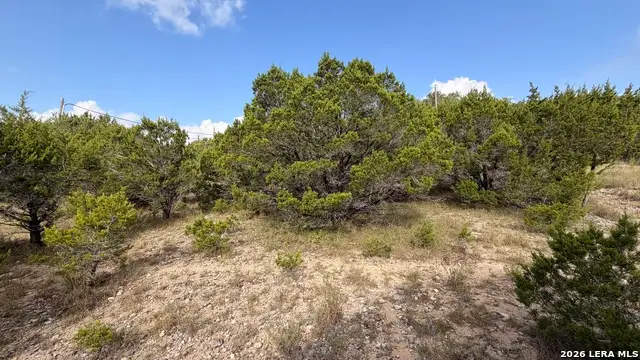 1076 Trail Pass, Canyon Lake, TX 78133 - #3