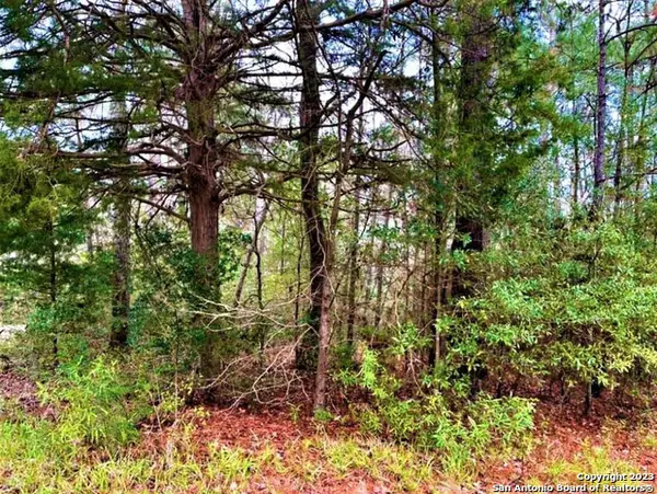 00 Sir Robert Burns, Woodville, TX 75979