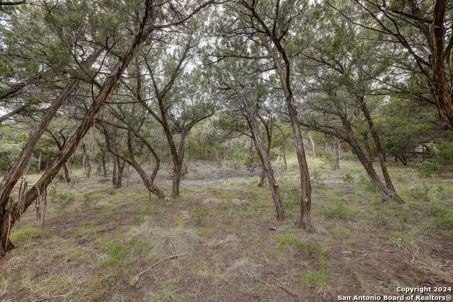 11411 Anaqua Spgs, Boerne, TX 78006 - #3
