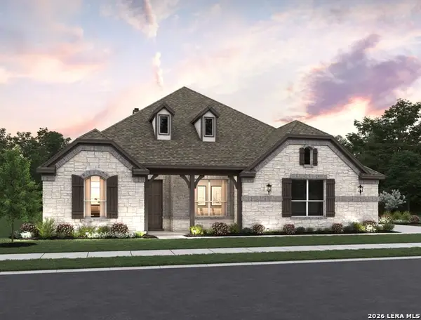 1146 Cape May Warbler, New Braunfels, TX 78132