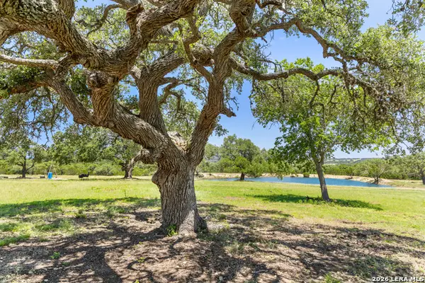 TBD Lindeman Ln, Blanco, TX 78606