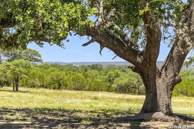 TBD Lindeman Ln, Blanco, TX 78606 - #3