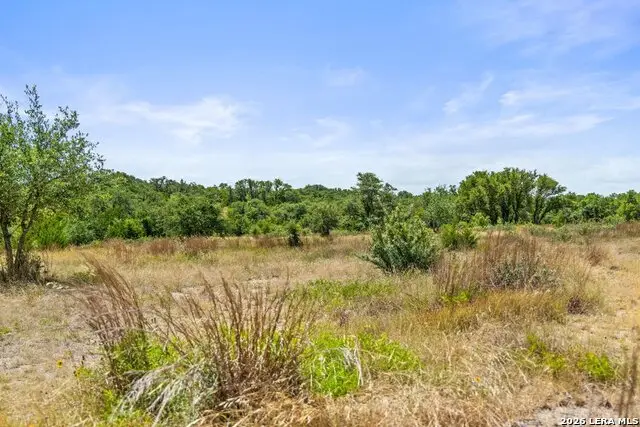207 Verbena Ct, Johnson City, TX 78636 - #3