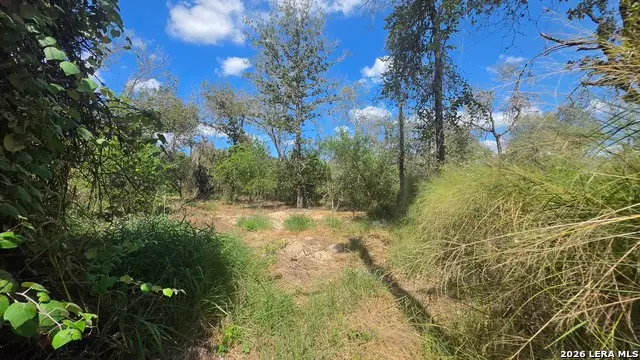 23306 Dragon Rock Rd, Elmendorf, TX 78112 - #2