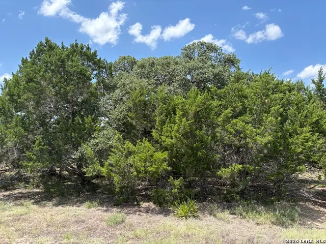 132 Palomino Spgs, Bandera, TX 78003 - #3
