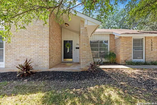 13023 Larkyorke St, San Antonio, TX 78233 - #3