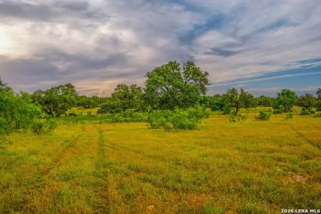 00 Treadwell Ln, Menard, TX 76859 - #1