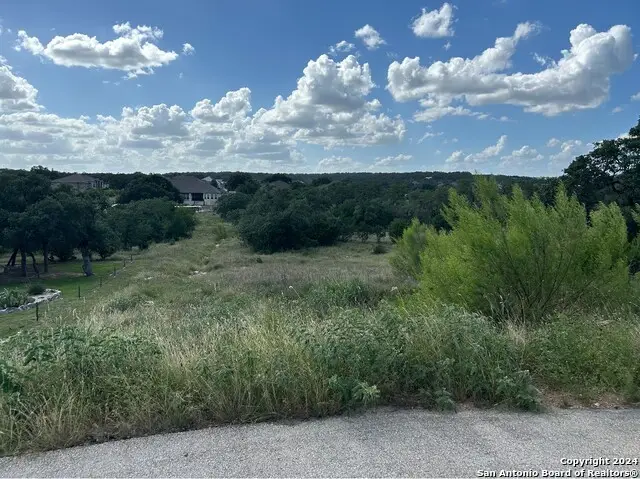 1728 Chardonnay, New Braunfels, TX 78132 - #2