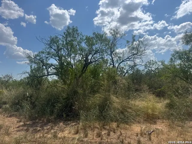 000 Ave. O, Christine, TX 78012 - #3