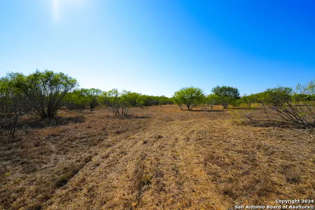 315 Old Pleasanton Rd, San Antonio, TX 78264 - #1