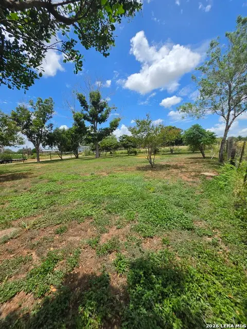 305 Waltom Ave, Jourdanton, TX 78026 - #2