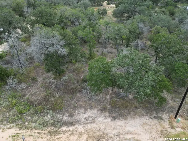209 Timber Pl, La Vernia, TX 78121 - #2