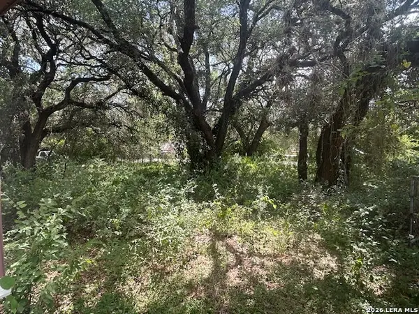 2711 Ray Lieck, San Antonio, TX 78253