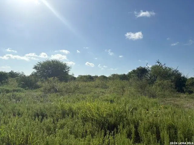 129 Persimmon Trail, Marion, TX 78124 - #3