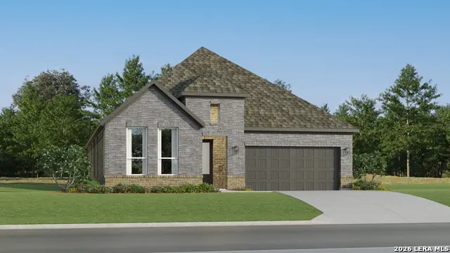2152 Whooper Swan, New Braunfels, TX 78130 - #3