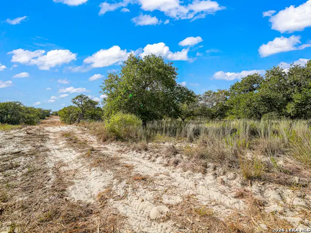 12180 Fm 1117, Seguin, TX 78155 - #2