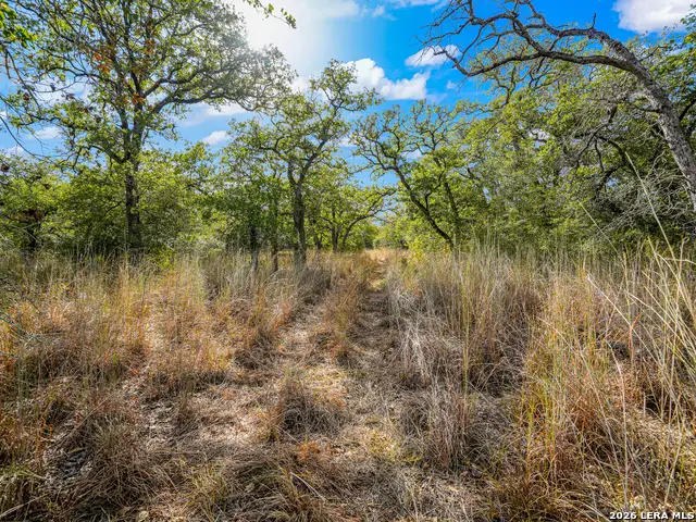 12180 Fm 1117, Seguin, TX 78155 - #3