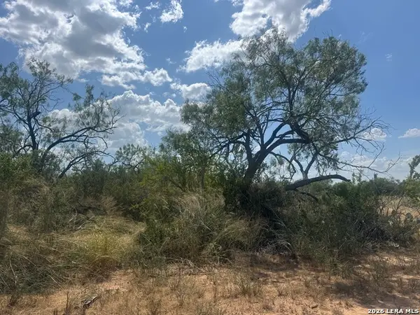 000 Ave. O, Christine, TX 78012