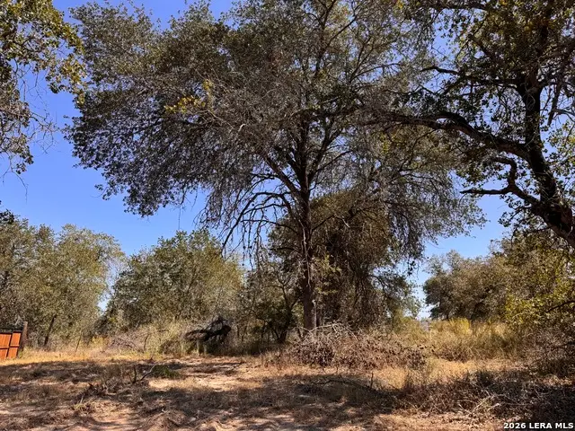 157 Ash Pkwy, La Vernia, TX 78121 - #1