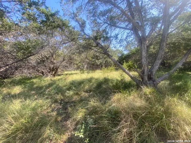 00 Jim Dalrymple Dr, Leakey, TX 78873 - #2