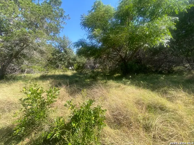 00 Jim Dalrymple Dr, Leakey, TX 78873 - #3