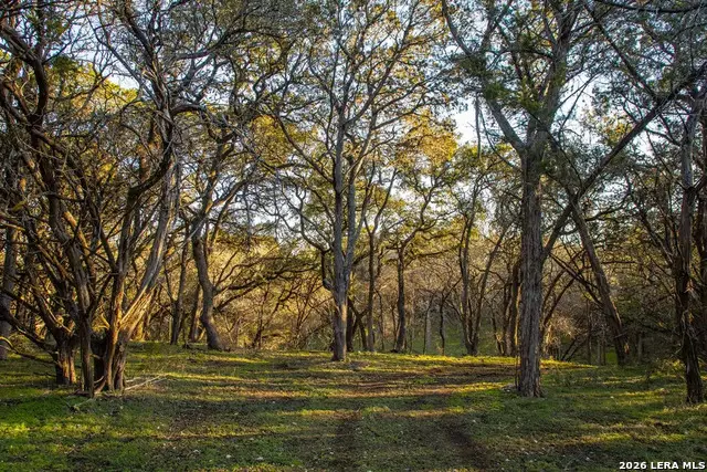 000 Hueco Springs Loop Road, New Braunfels, TX 78132 - #2