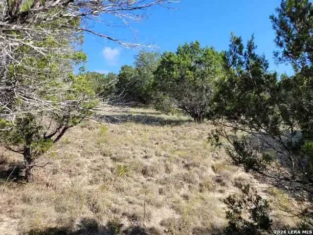 118 Bobby Clark Dr, Canyon Lake, TX 78133 - #2