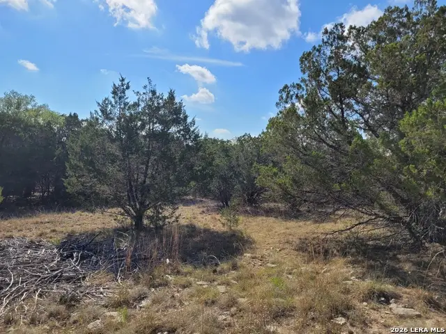 118 Bobby Clark Dr, Canyon Lake, TX 78133 - #3