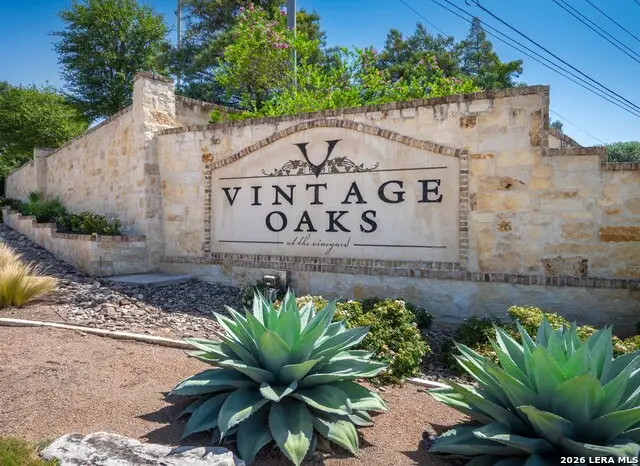 1324 Pinot Grigio, New Braunfels, TX 78132 - #2