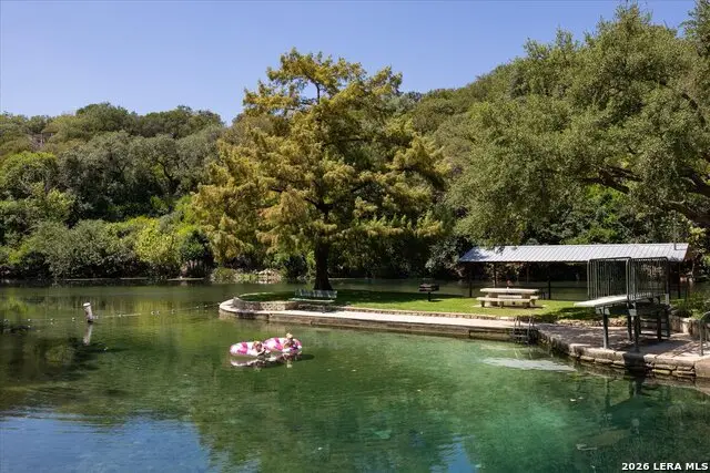 429 Lakeview Blvd., New Braunfels, TX 78130 - #3