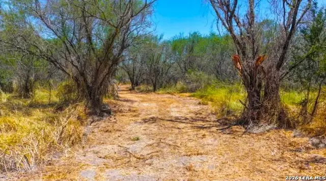 00 Farm To Market Rd 1329, Concepcion, TX 78349 - #2