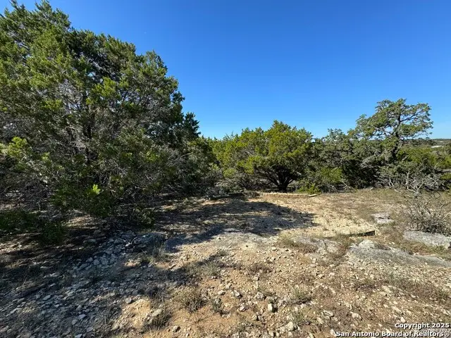 1040 Pinon Pass, Fischer, TX 78623 - #2