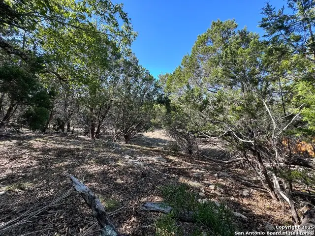 1040 Pinon Pass, Fischer, TX 78623 - #3