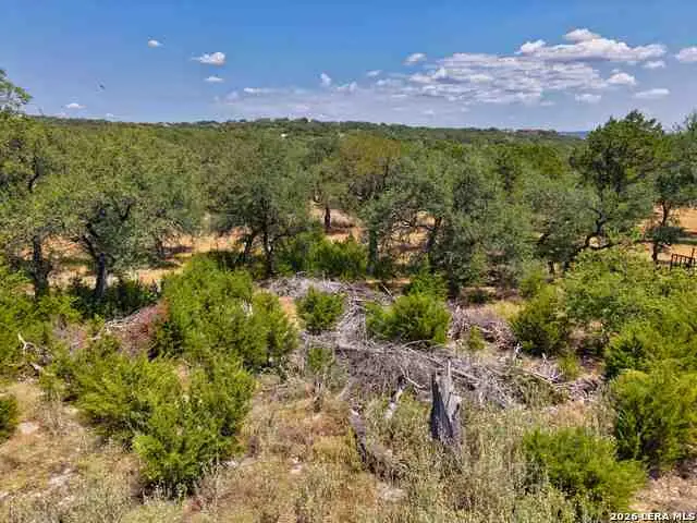 559 Clay Rdg, Canyon Lake, TX 78133 - #2
