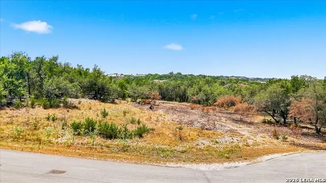 267 Champions Rdg, Spring Branch, TX 78070 - #2