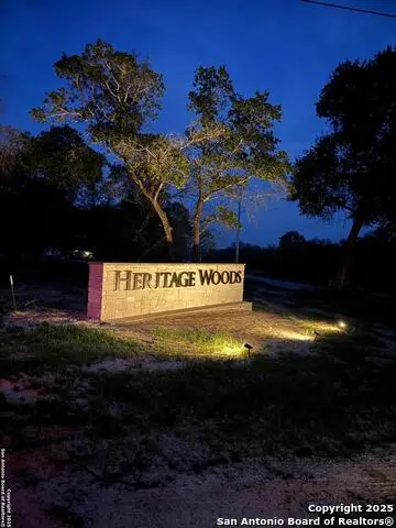 124 Pinot Pl, La Vernia, TX 78121 - #3