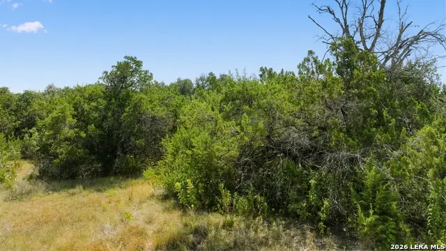 1007 Deer Run Pass, Canyon Lake, TX 78133 - #3