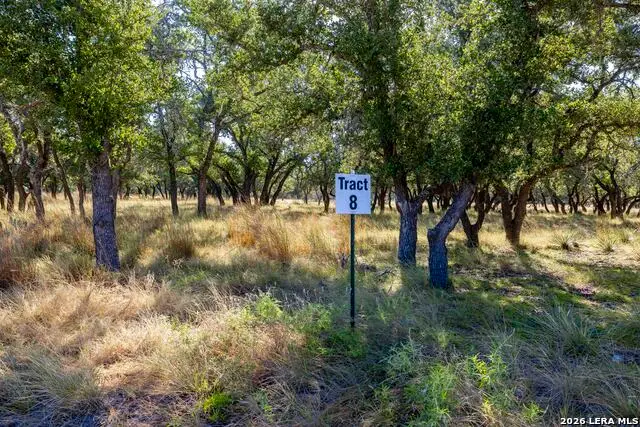TBD Legacy Oaks Dr., Harper, TX 78631 - #1