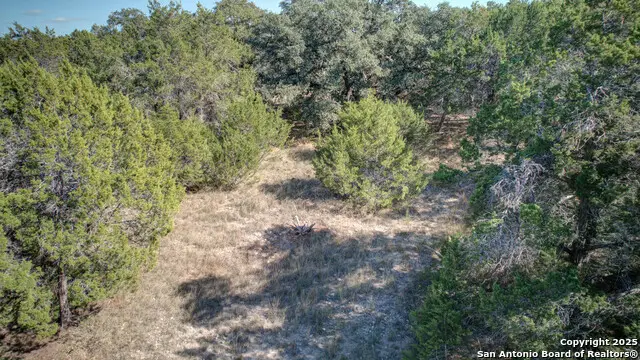 935 Five Oaks Cir, Canyon Lake, TX 78133 - #2