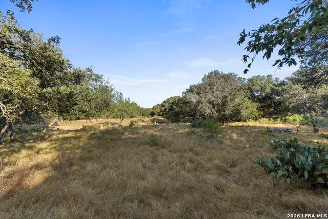 30931 Firebird Ln, Boerne, TX 78015 - #2