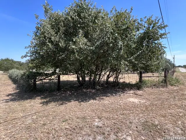 307 County Road 6875, Natalia, TX 78059 - #3
