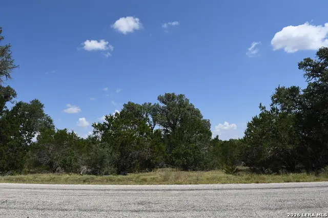 291 Serenity Pass, Spring Branch, TX 78070 - #1