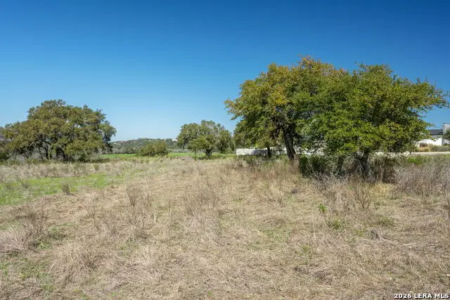 365 River Cliff Pl, Spring Branch, TX 78070 - #3