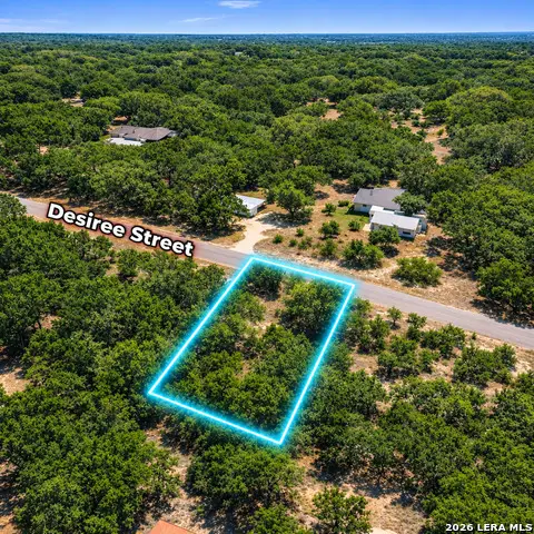 1490 Desiree St, Canyon Lake, TX 78133 - #2