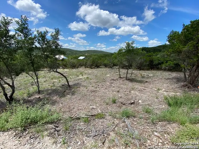 391 Pr 1748 Lot 391, Mico, TX 78056 - #1